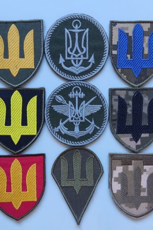 Шеврон на липучці роду військ, спеціальних військ та служб ЗСУ (піксель, олива) 7х8см
