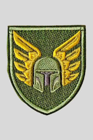 Шеврон 81 Окремої аеромобільної бригади (81 ОАМБр) на липучці (захисний).