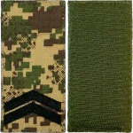 Погон Молодший Сержант ЗСУ на липучці (хижак).